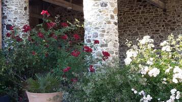 Terrein van de accommodatie