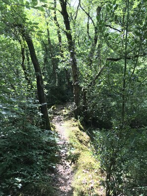 Overnattingsstedets uteområder