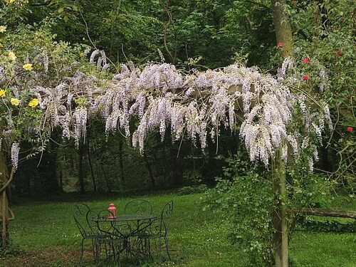 Charming Cottage in Verdant Park with Modern Amenities & Family Activities