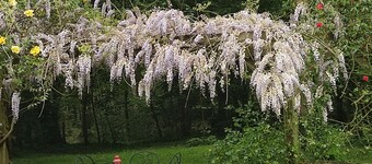 Charming Cottage in Verdant Park with Modern Amenities & Family Activities