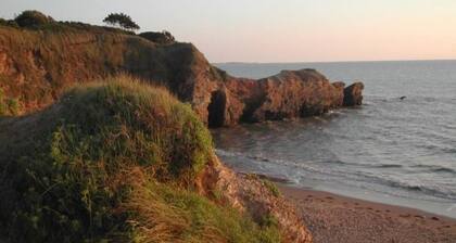 Spacious Eco-friendly Cottage, 2 km from the Ocean, with Garden, Terrace, and Modern Amenities