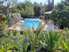 Uma piscina rodeada por vegetação exuberante e diversas plantas.