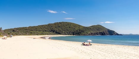 Una playa con cielos despejados, una orilla arenosa y una colina boscosa al fondo.