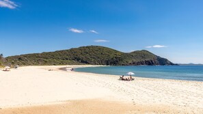 Une plage avec un ciel dégagé, une rive sablonneuse et une colline boisée en arrière-plan.