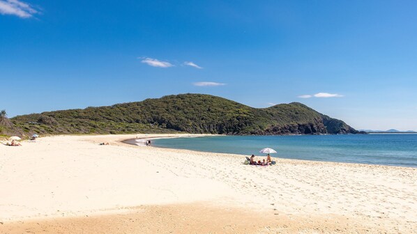 A beach with clear skies, a sandy shore, and a forested hill in the background. - Paws and Relax - accommodates the whole family including your fur babies (Elizabeth Beach)