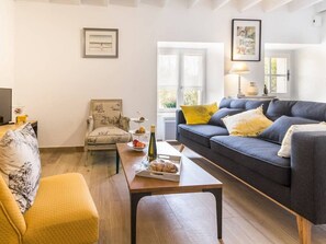 TV, fireplace, DVD player