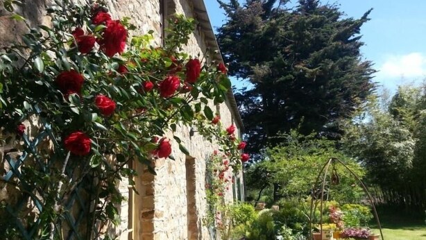 En bygning i sten med en klatrende rosenbusk. Der er plantekasser og et lille haveområde med forskellige planter og espalier.