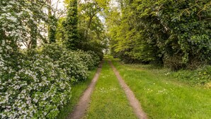 Un sentier étroit et non pavé, bordé de buissons et d’arbres touffus et couverts de fleurs, qui s’enfonce dans un paysage verdoyant et luxuriant.