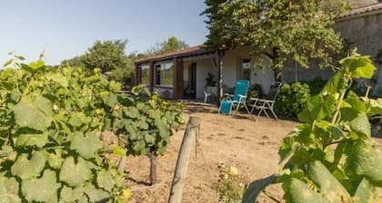 Gßte calme sur domaine viticole, cheminée, wifi, équipements bébé, proche Nantes