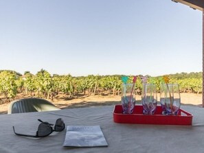 Outdoor dining - Quiet cottage on vineyard, fireplace, wifi, baby equipment, near Nantes (Le Landreau)