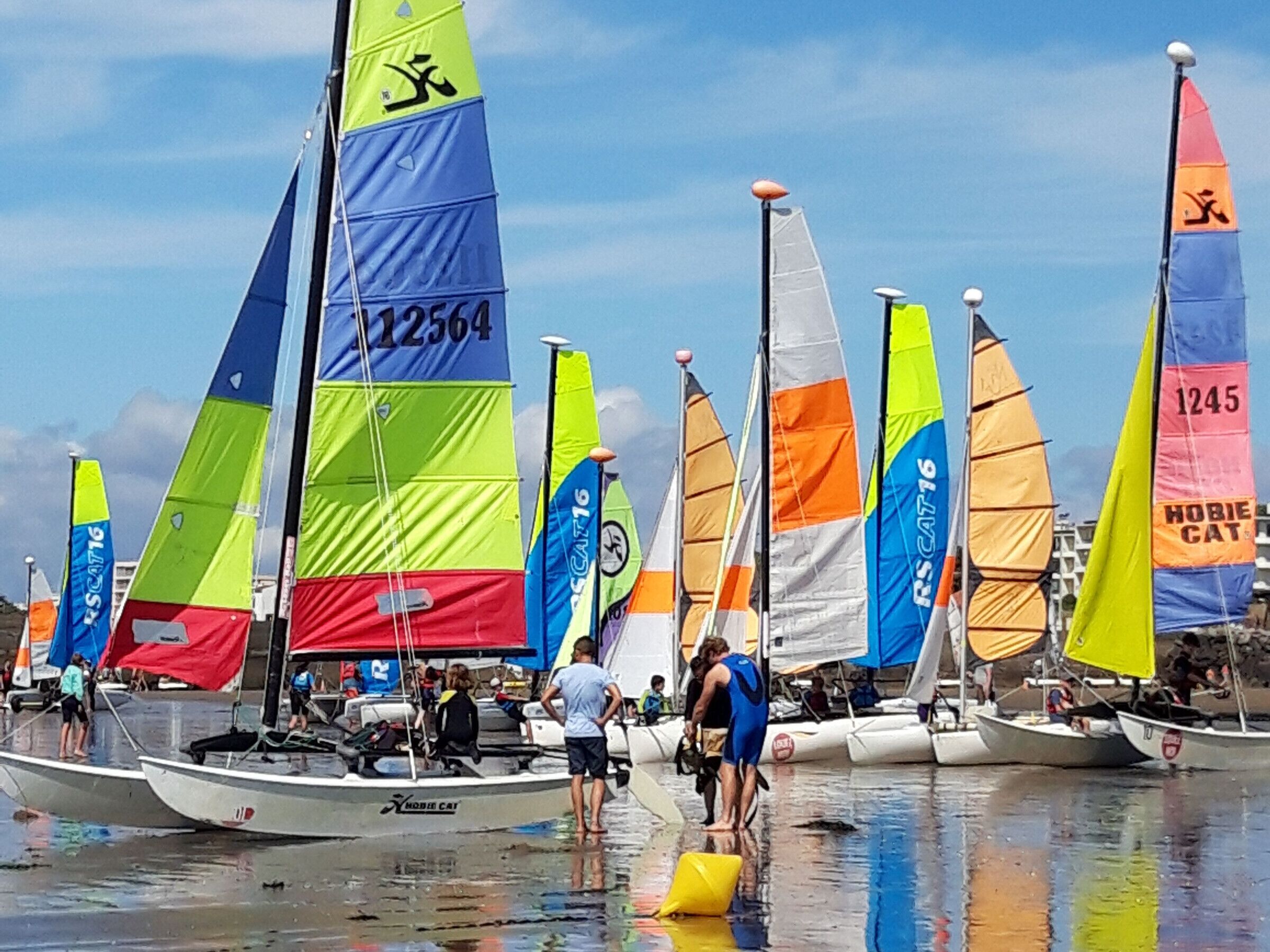 A marina with multiple sailboats docked, some with colorful sails, and people standing by the boats.