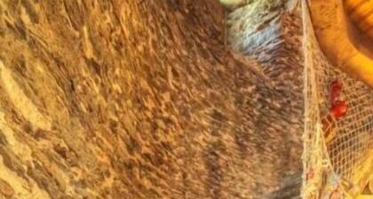 Renovierte Mühle mit geschlossenem Garten nahe Pornic