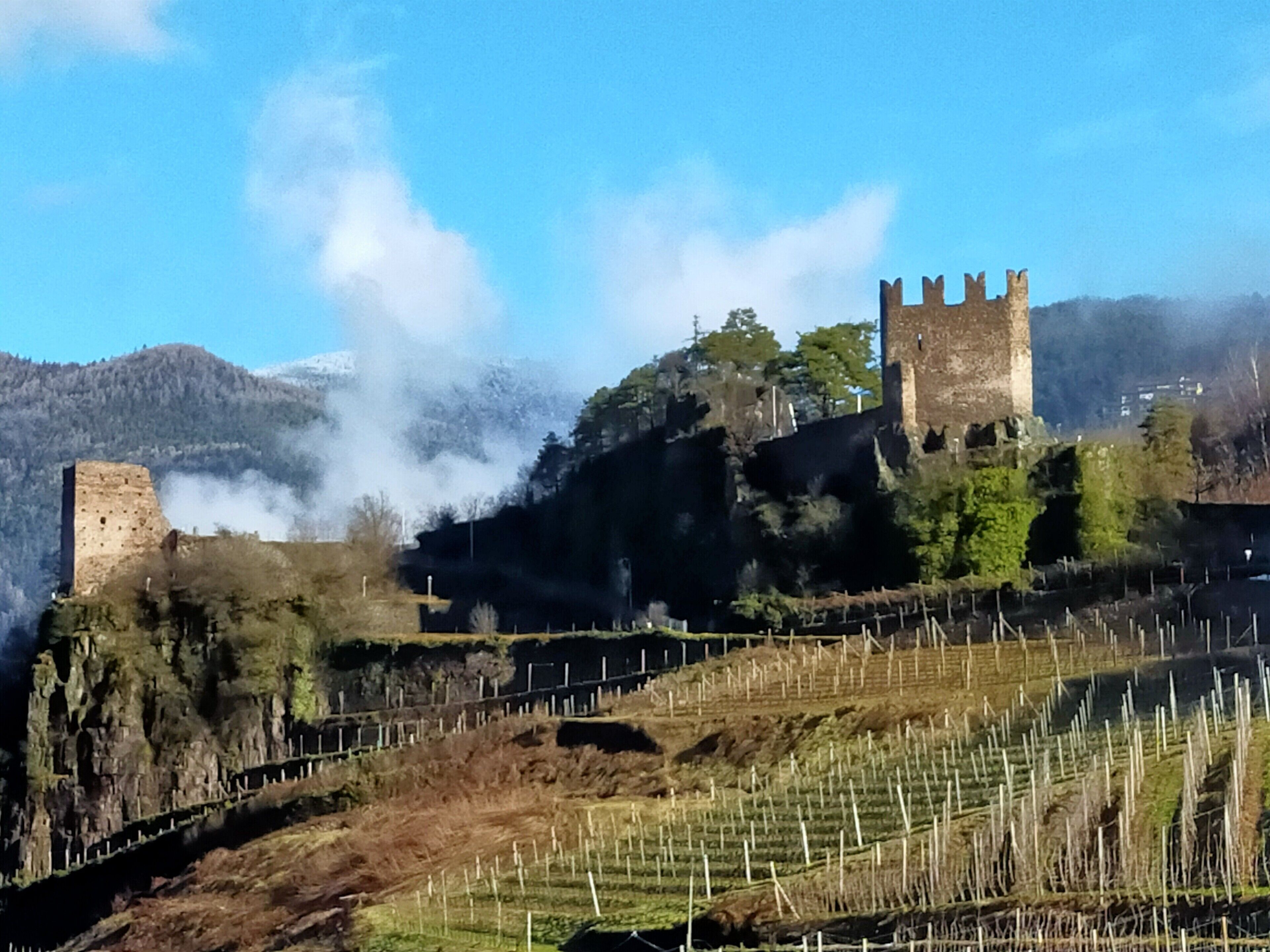 A castle on a hill with a moat and a forested mountain backdrop.