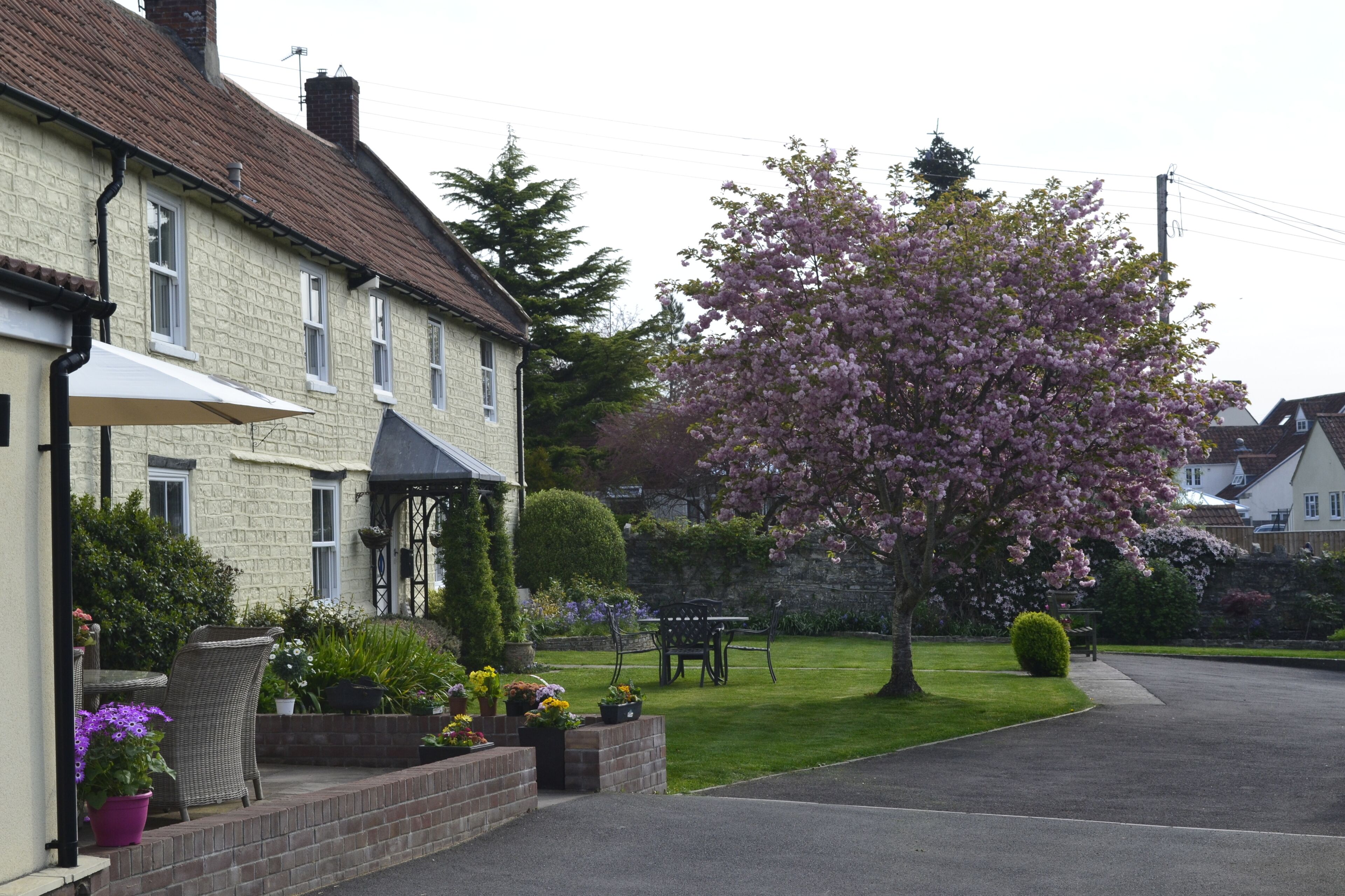 Una calle residencial con casas, un jardín con un banco y un árbol con flores rosas.