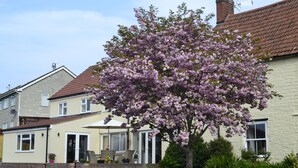 Una casa residencial con un césped cuidado y un árbol en flor al frente.