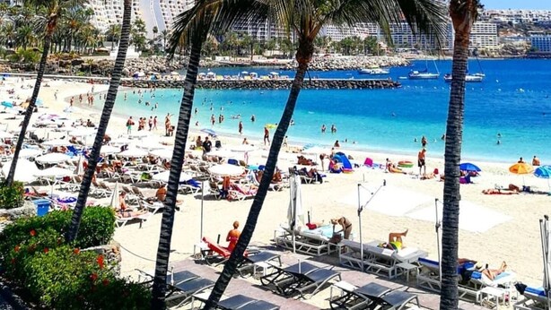 A beach with palm trees, sun loungers, and a clear blue sea. - Apartment with amazing views & terrace - garden (PATALAVACA)