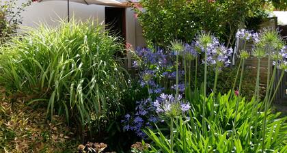 Charming 15th-Century Cottage in Vineyard with Terrace, Bikes & EV Charging