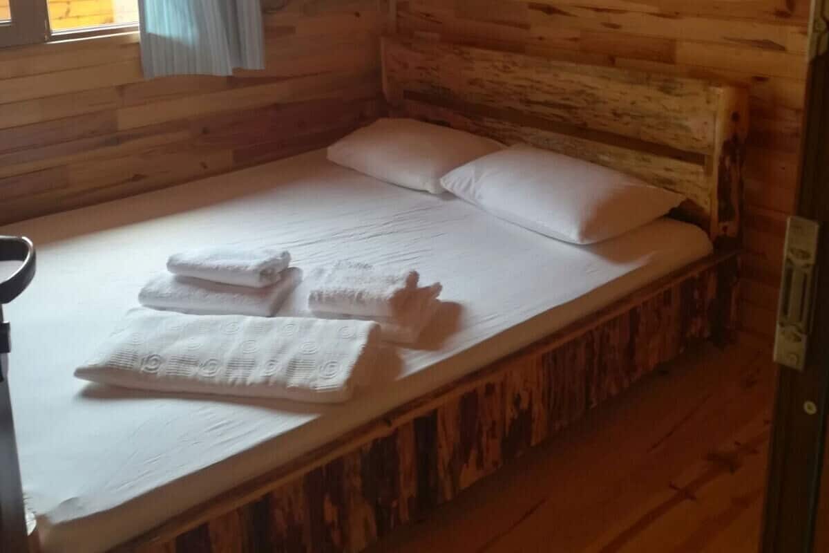 Basic Single Room | 1 bilik tidur, Wi-fi percuma