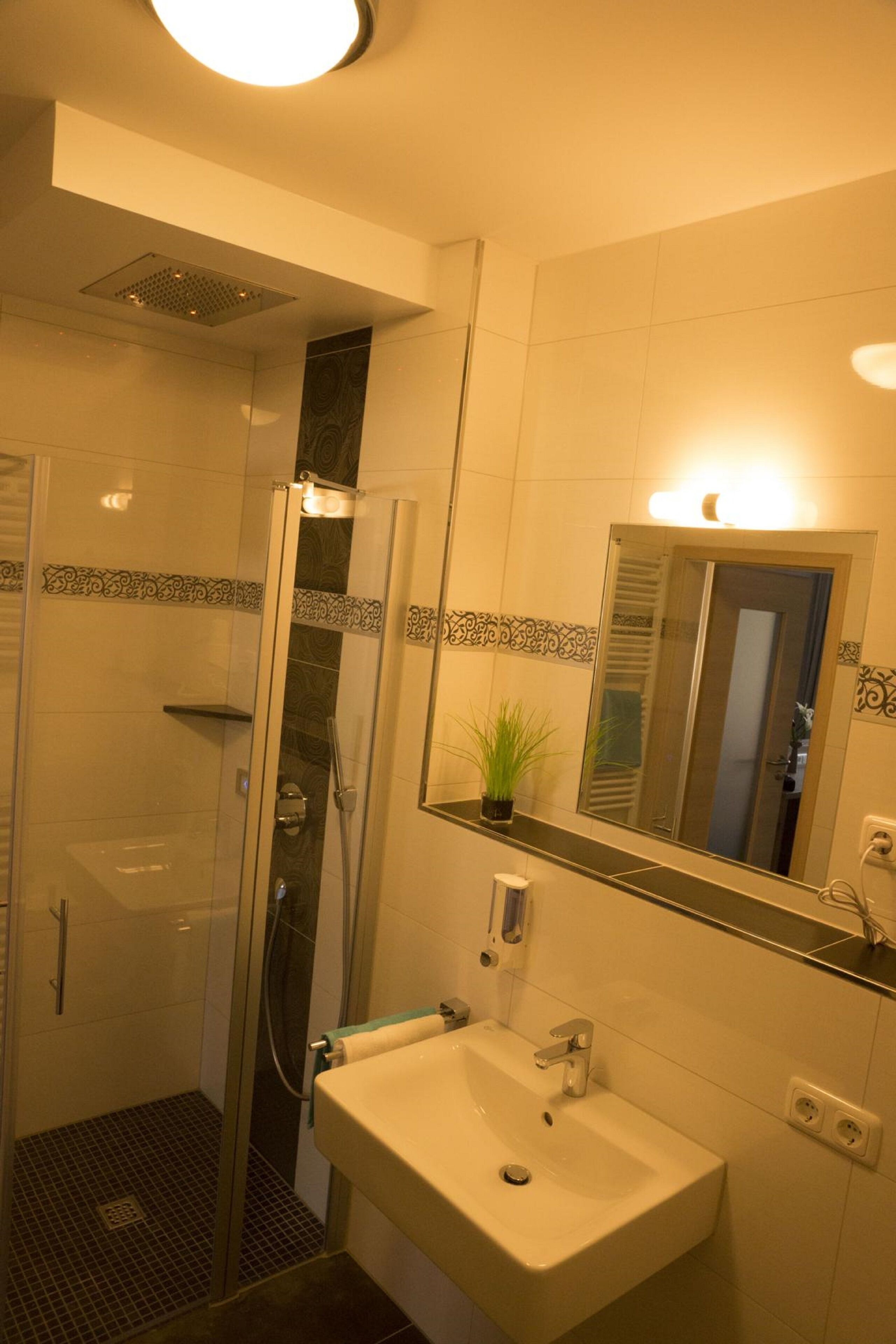 A bathroom with a glass-enclosed shower, a sink, and a mirror with a small plant on the countertop.