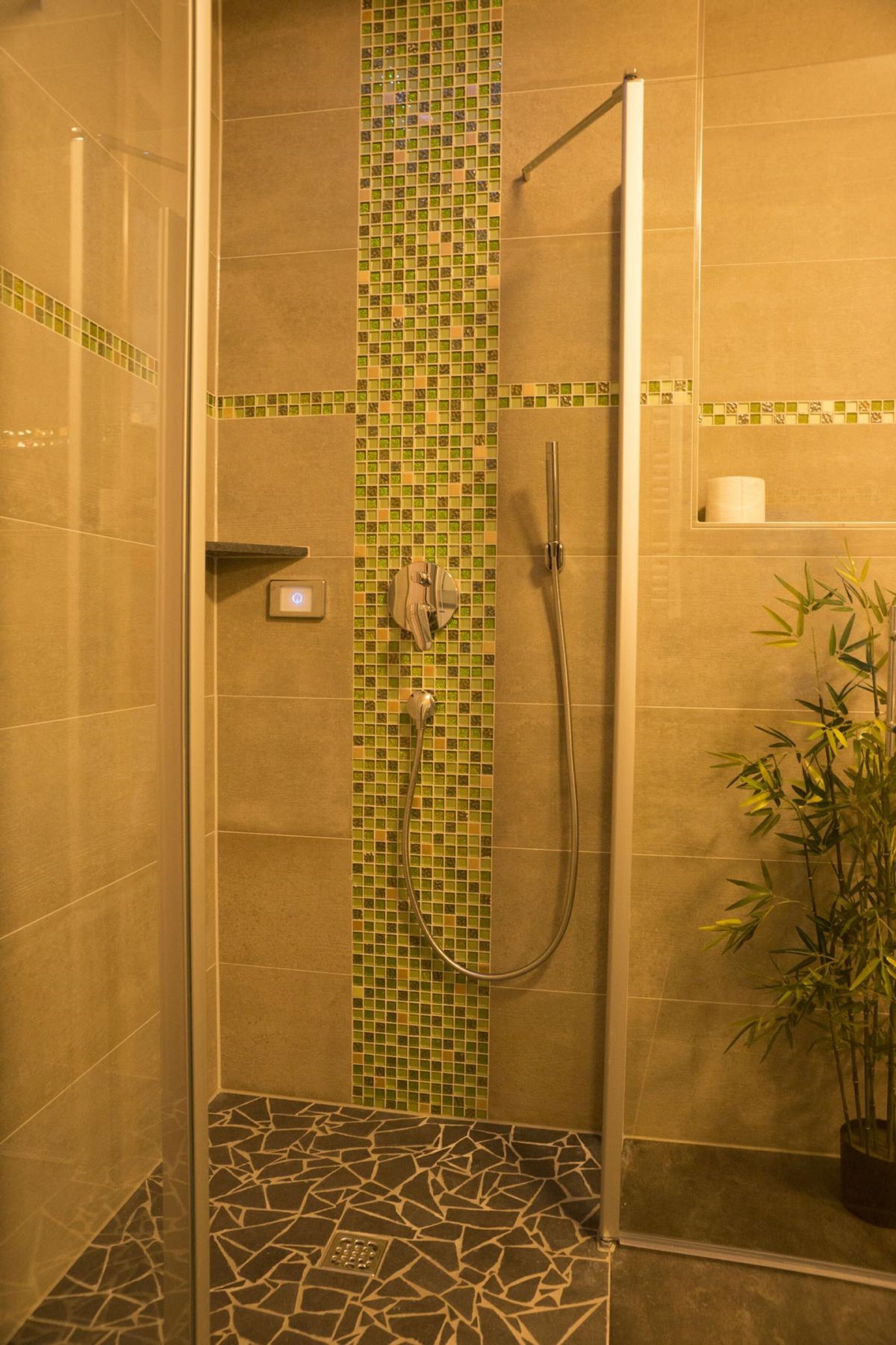 A shower with a glass door, a green mosaic wall, and a bamboo plant.