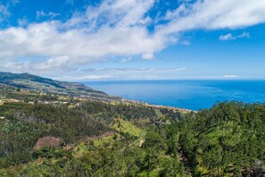 Botón de imagen sin clasificar, 3 de 48