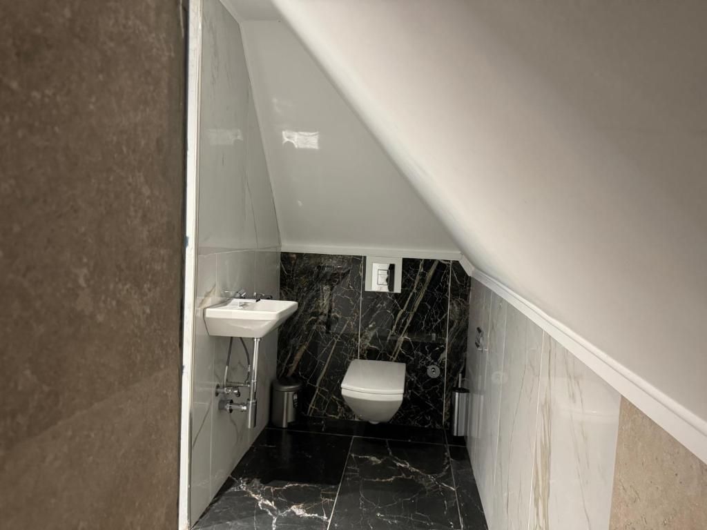 Een compacte, smalle badkamer met een witte wastafel, toilet en een marmeren spatwand.