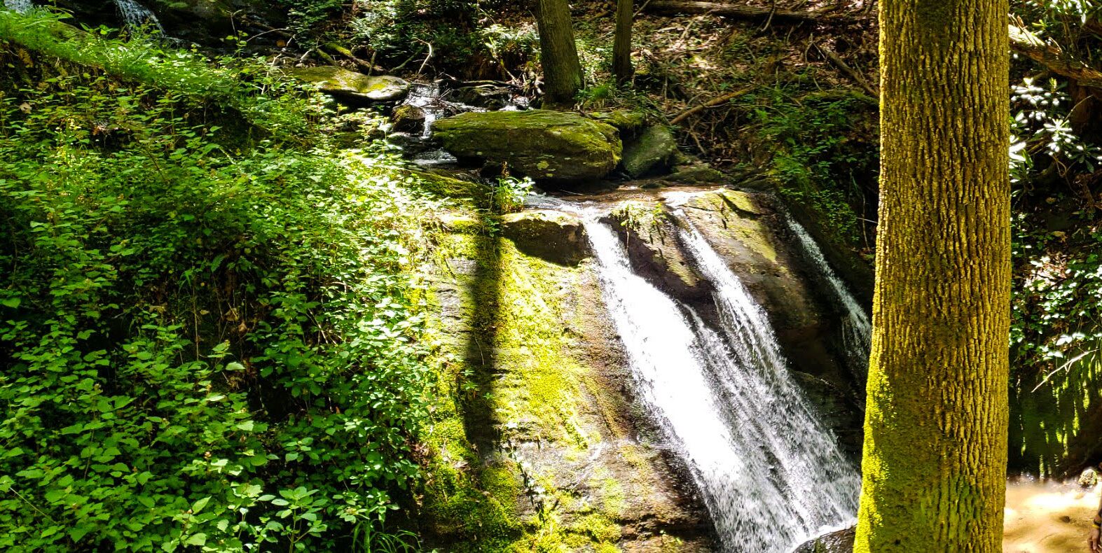 Romantic Stone Cabin, Private Waterfalls, Hot Tub, Pet Friendly, WiFi, Decks