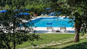 Piscina retangular com água azul, rodeada por um espaço gramado e árvores. Duas cadeiras de descanso e um guarda-sol azul estão próximos da piscina.