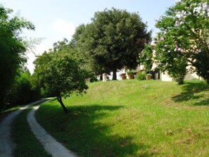 Parco della struttura