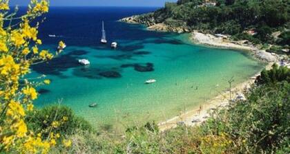 Apartment with 3 bedrooms, 1 bathroom and garden with furniture and bbc