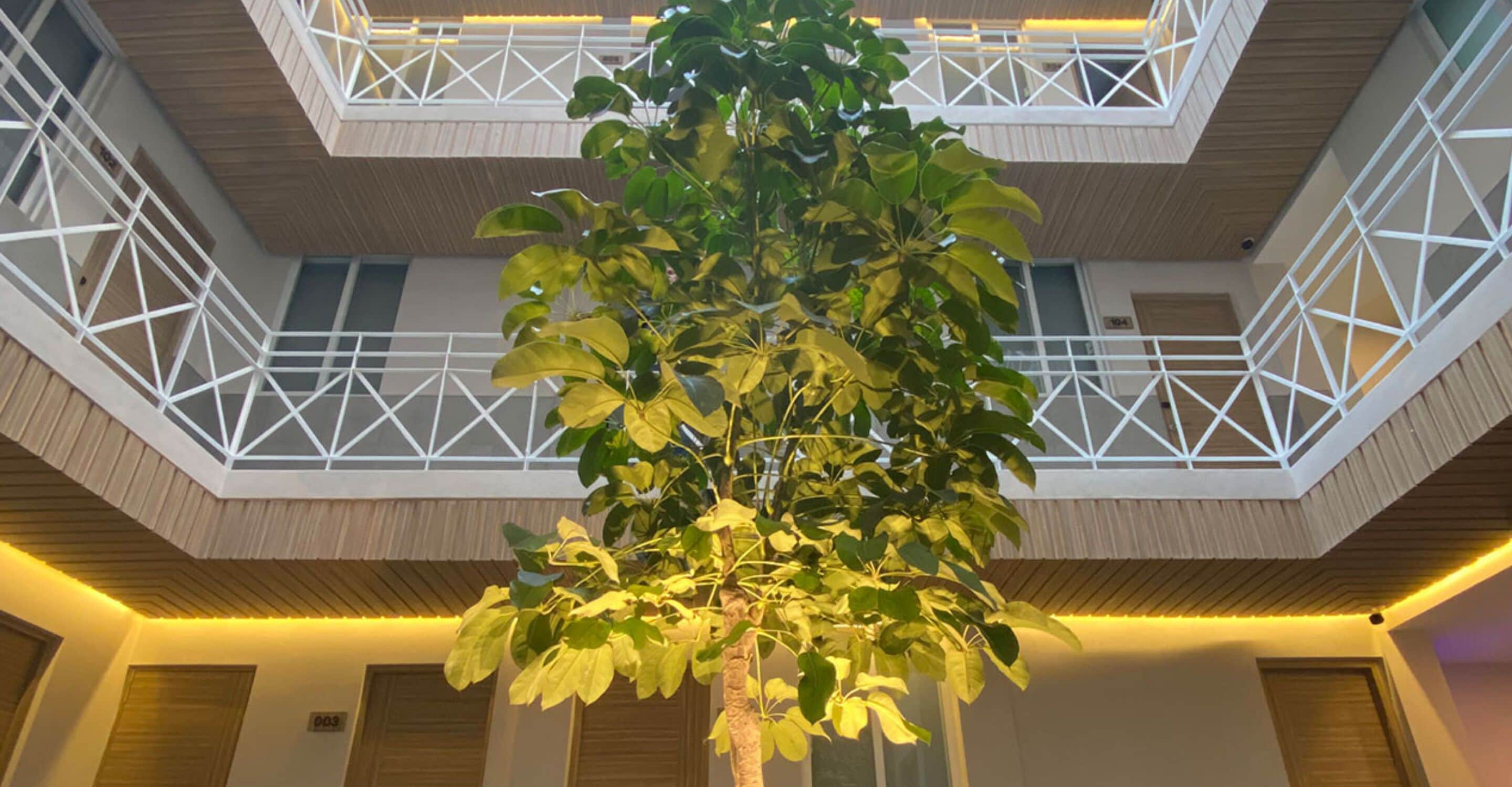 Foto - Hotel MX zócalo CDMX, Trademark Collection by Wyndham