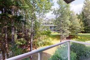 Terrain de l’hébergement 