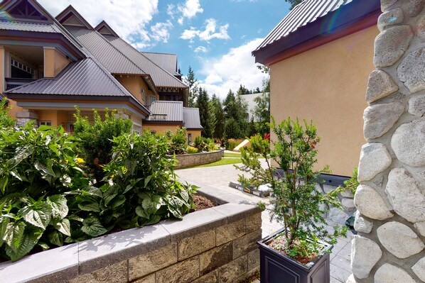 Terrain de l’hébergement 