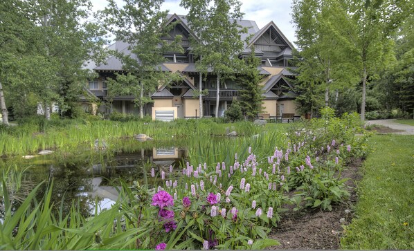 Terrain de l’hébergement 