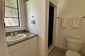 Un bany amb un lavabo, un vàter i una barra per a tovalloles.