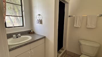 Hair dryer, towels, soap, shampoo