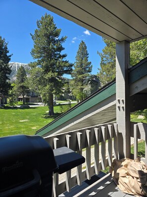 Un'area esterna coperta con un barbecue, una recinzione in legno e vista su un prato verde e alberi.
