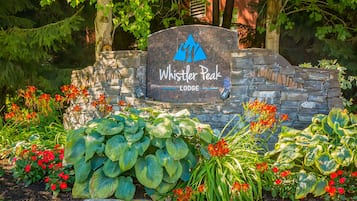 Terrain de l’hébergement