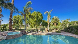 Una piscina amb vora de pedra natural, envoltada de palmeres i altra vegetació.
