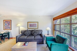 TV, fireplace, DVD player, video library