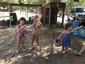 Children’s area