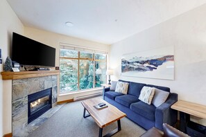 TV, fireplace, DVD player