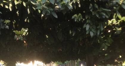 Private Cottage Home