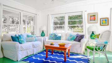 Smart TV, reproductor de DVD, libros