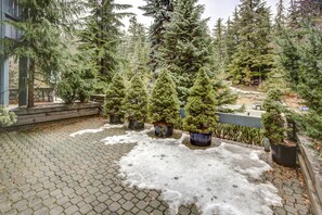 Terrain de l’hébergement 