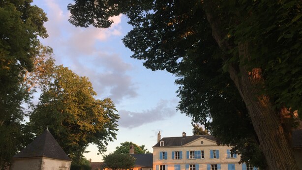 Eksteriør