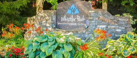 Detall de l'exterior