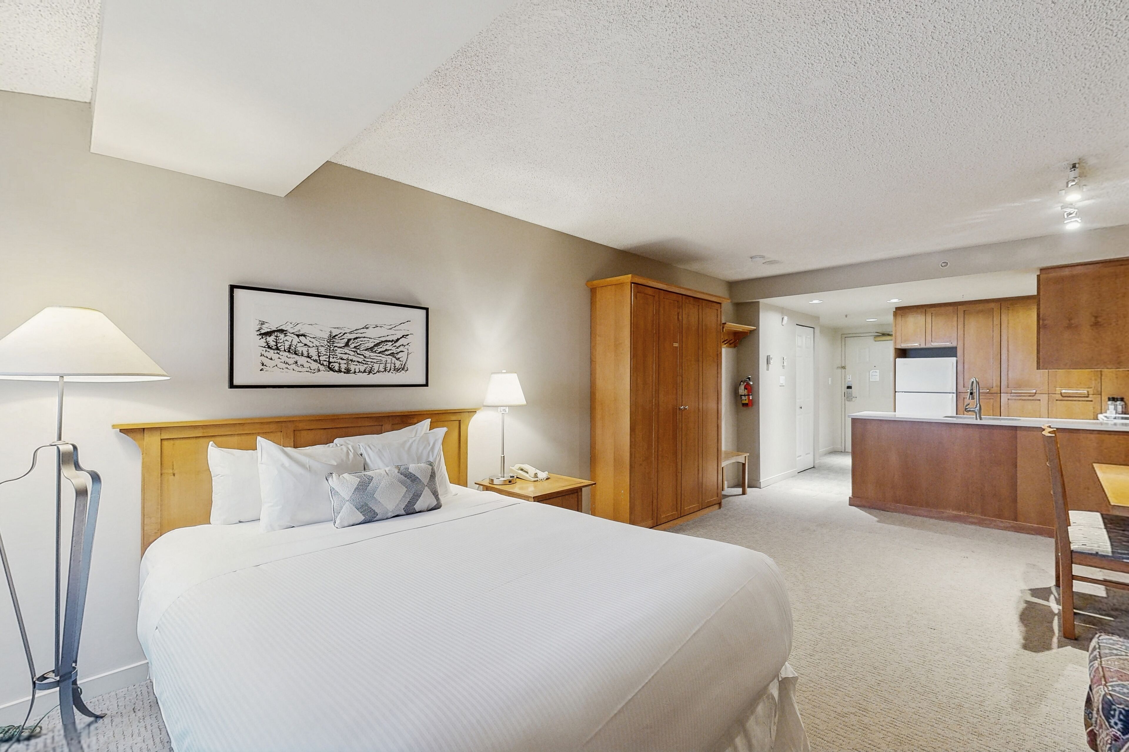 Iron/ironing board, Internet, bed sheets