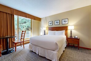 Strykejern/-brett, internettilgang og sengetøy