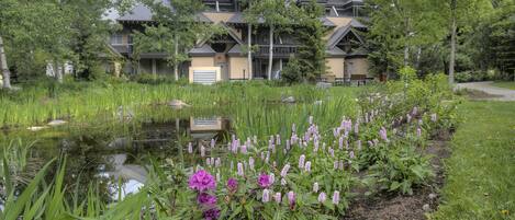 المنطقة المحيطة بالمنشأة